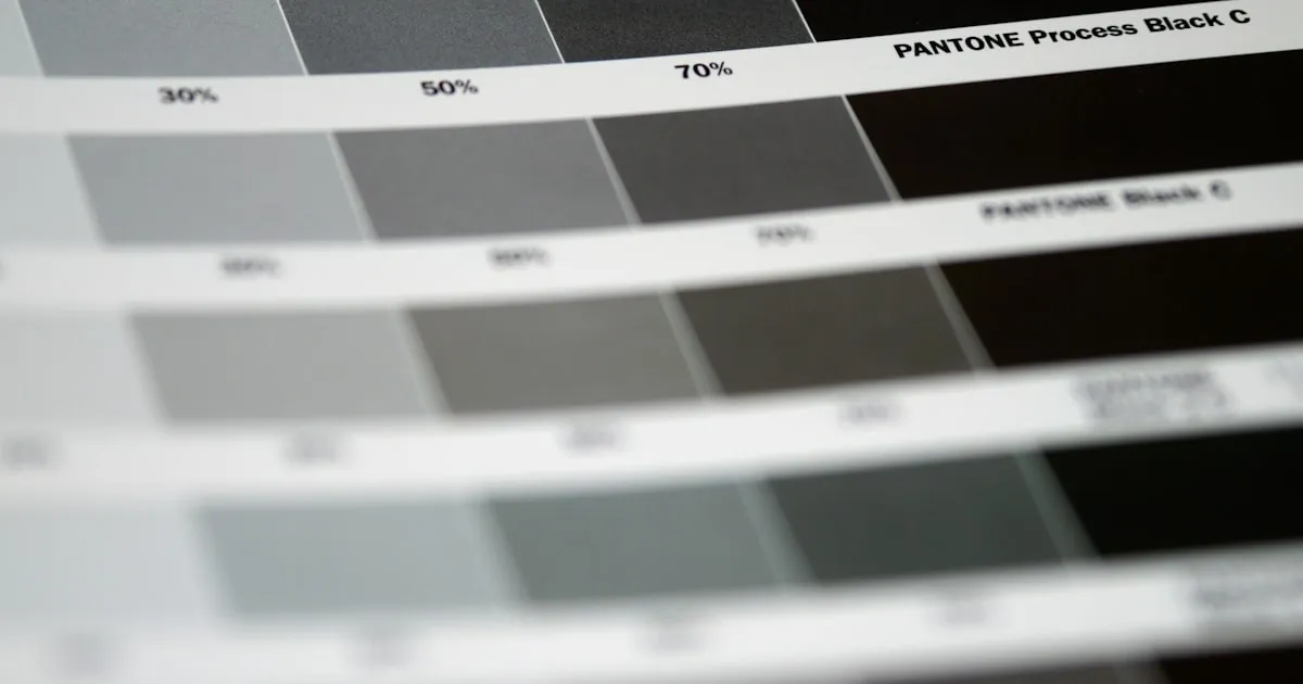 HEX, RGB, HSL: Memahami Kode Warna Web